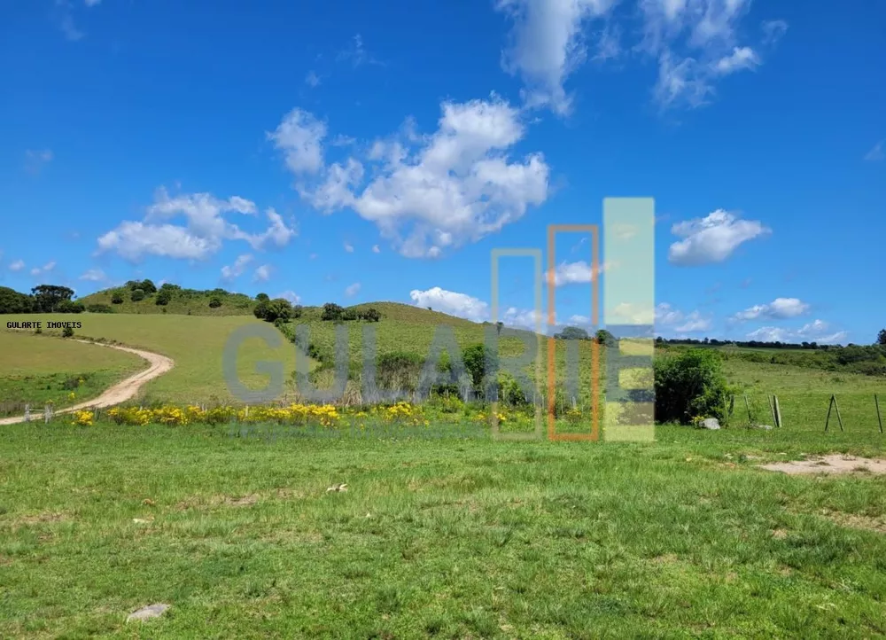 Fazenda, 405 hectares - Foto 8