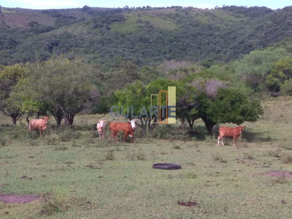Terreno à venda, 760000m² - Foto 4