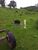 Terreno, 76 m² - Foto 3