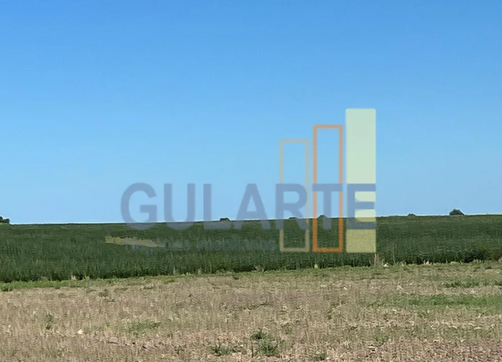 Fazenda, 427 hectares - Foto 2