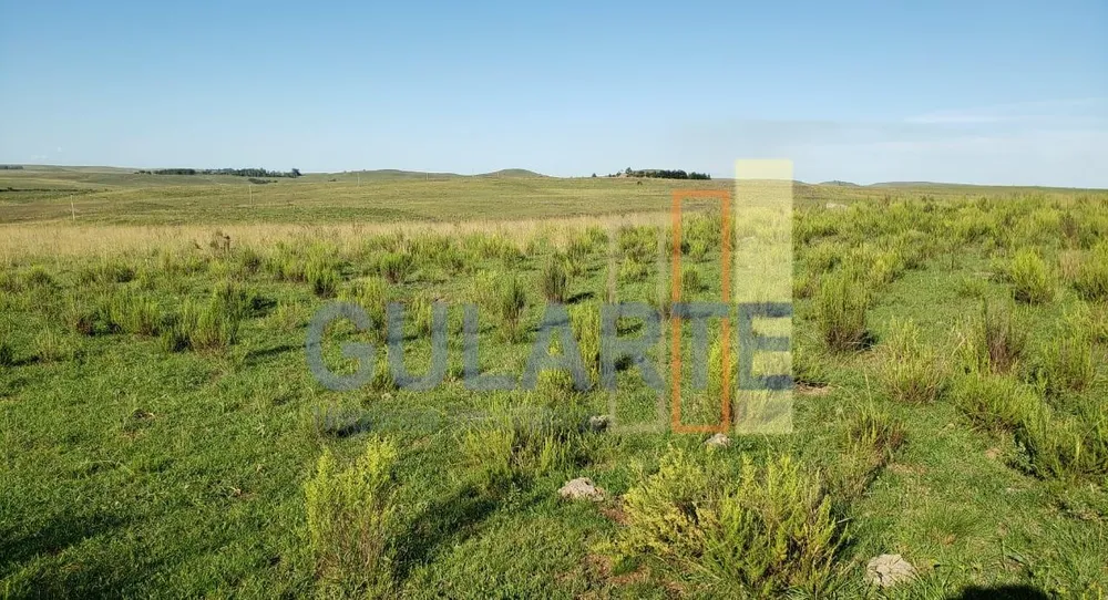 Fazenda, 427 hectares - Foto 3