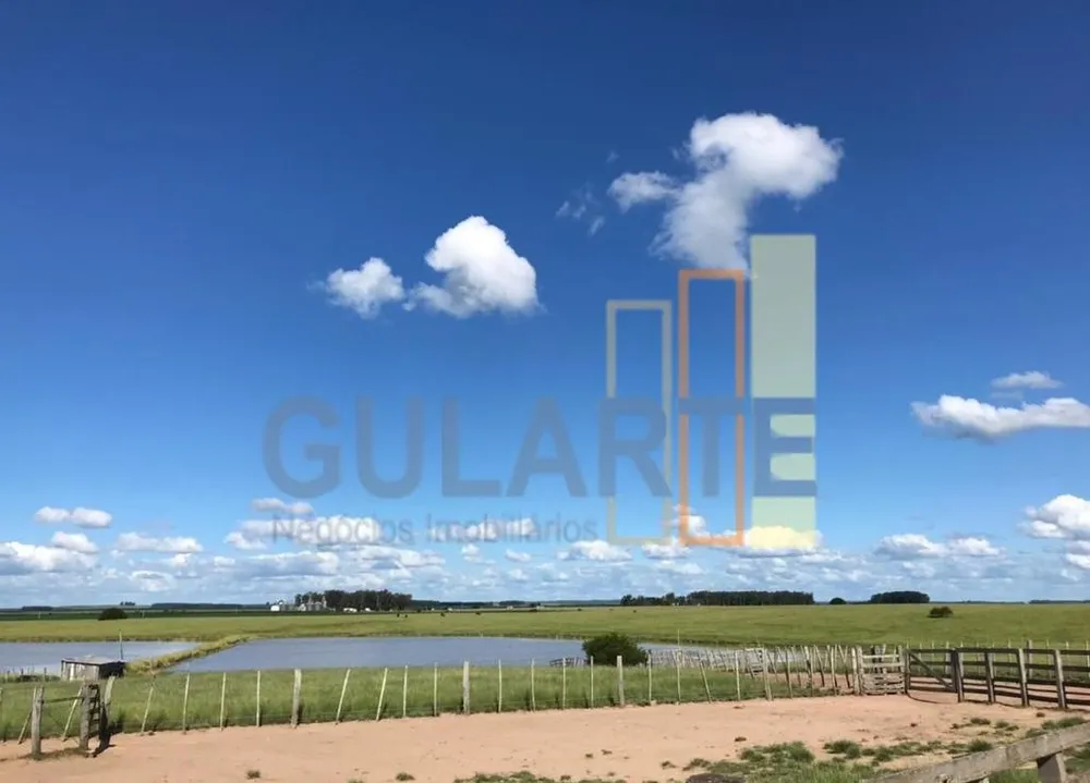 Fazenda, 427 hectares - Foto 4