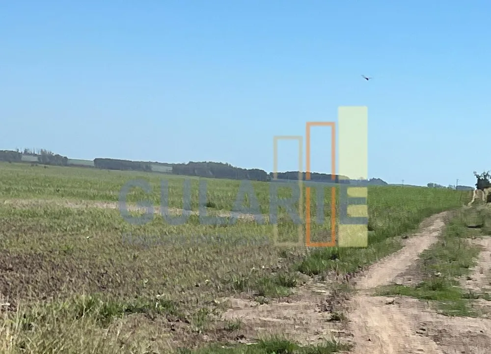 Fazenda, 427 hectares - Foto 4