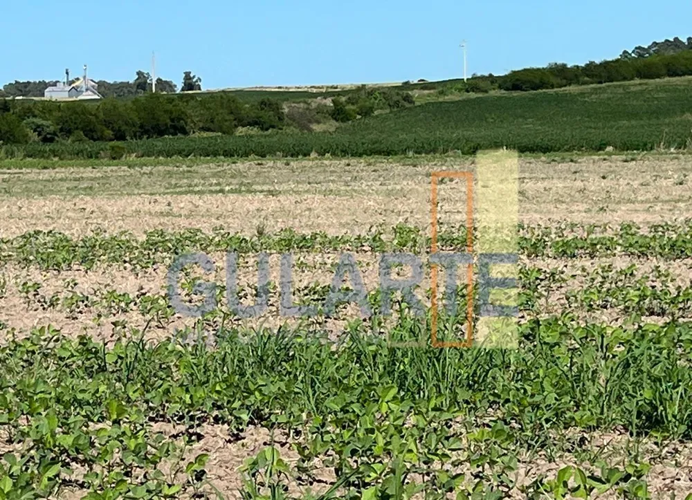 Fazenda, 427 hectares - Foto 1