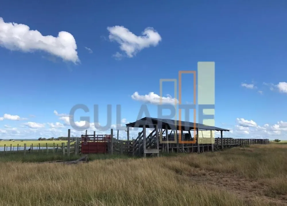 Fazenda, 427 hectares - Foto 8
