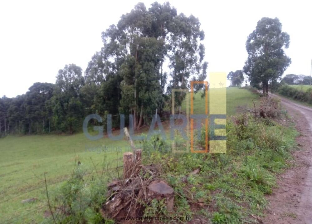 Fazenda, 13 hectares - Foto 3