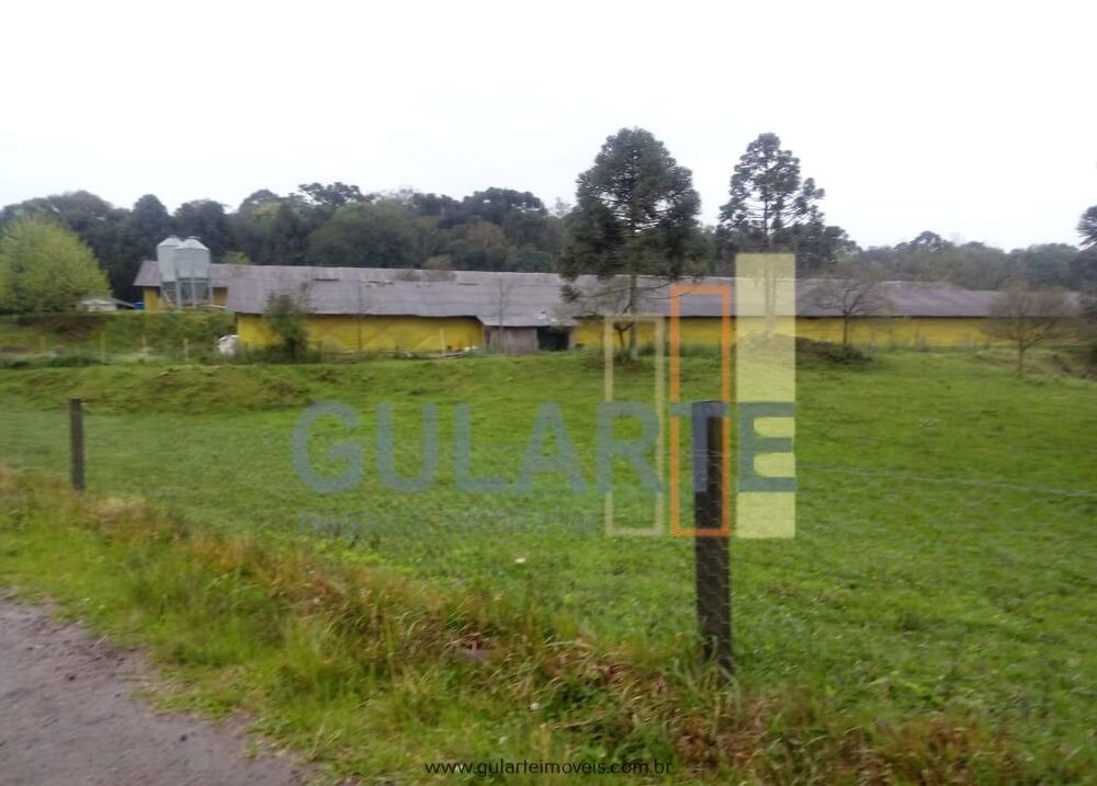 Fazenda, 13 hectares - Foto 4