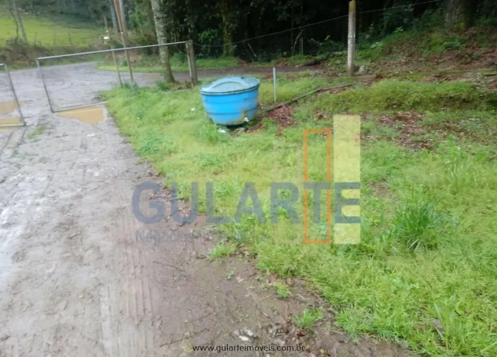 Fazenda, 13 hectares - Foto 6