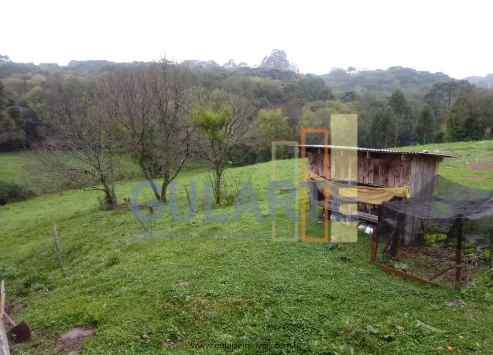 Fazenda, 13 hectares - Foto 2