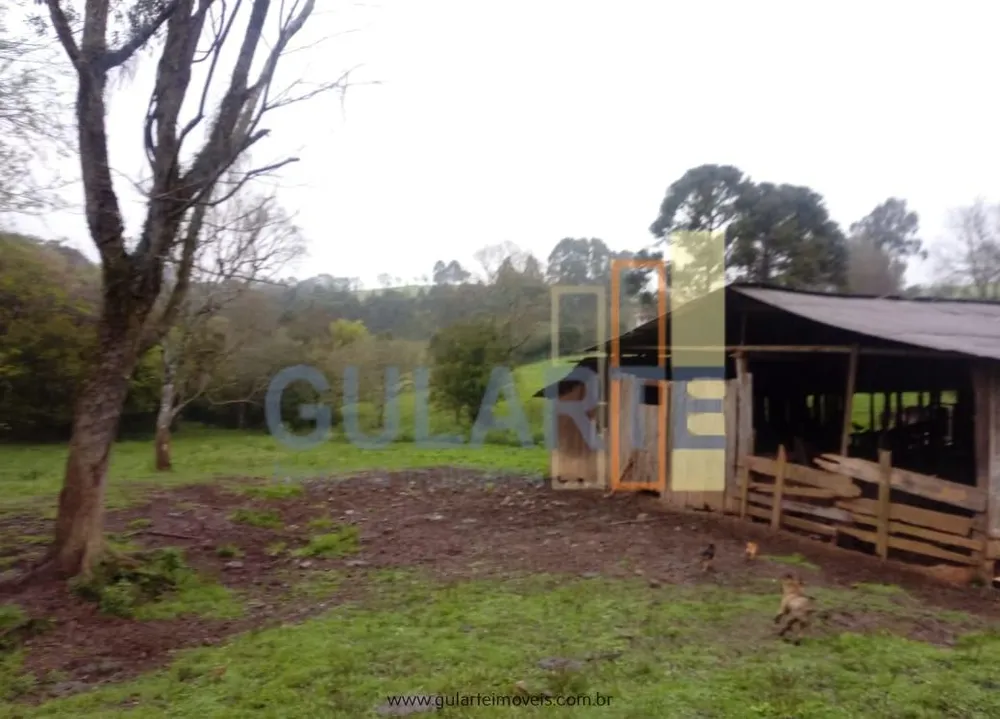 Fazenda, 13 hectares - Foto 8