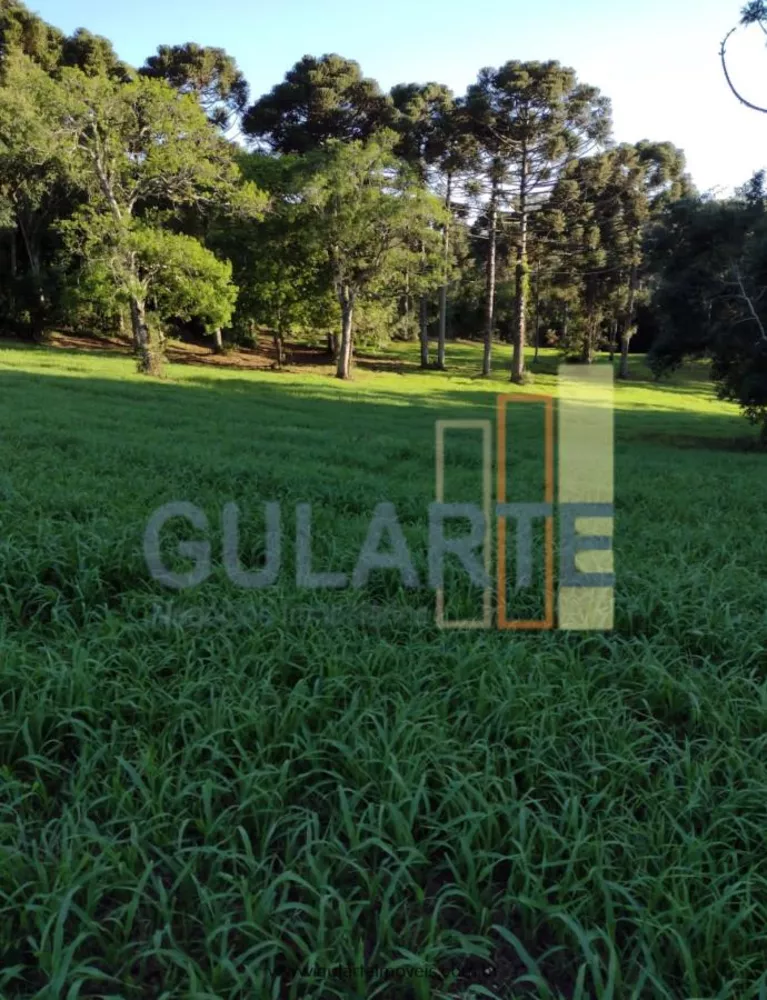 Fazenda, 13 hectares - Foto 8