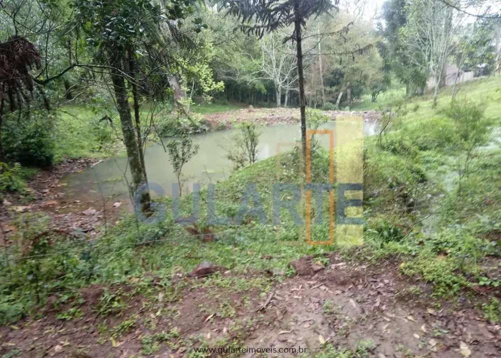 Fazenda, 13 hectares - Foto 6