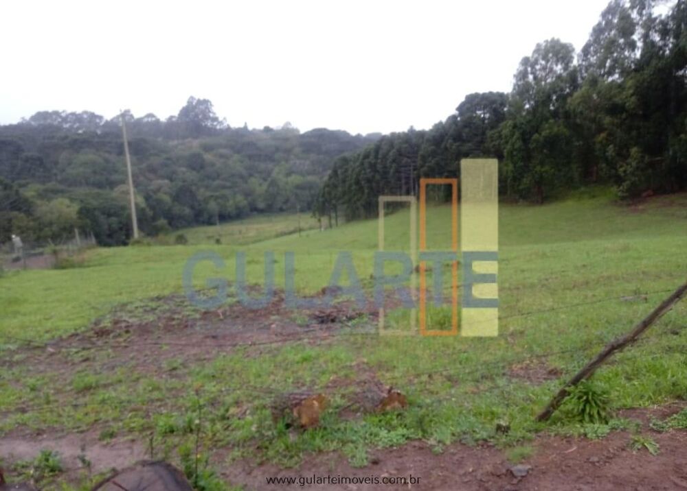 Fazenda, 13 hectares - Foto 5