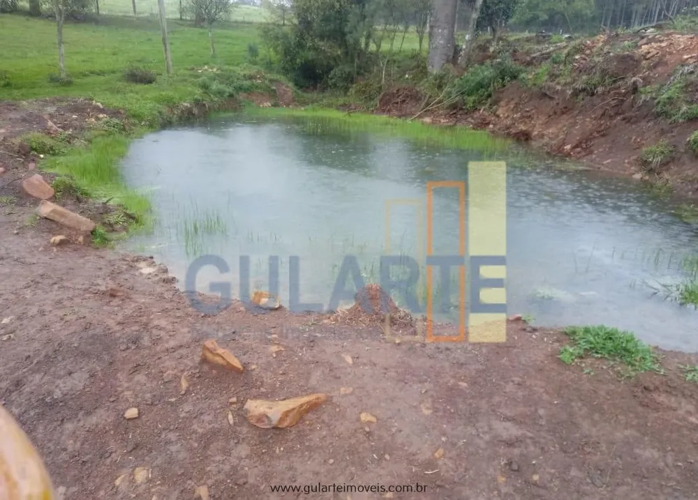 Sítio, 13 hectares - Foto 12
