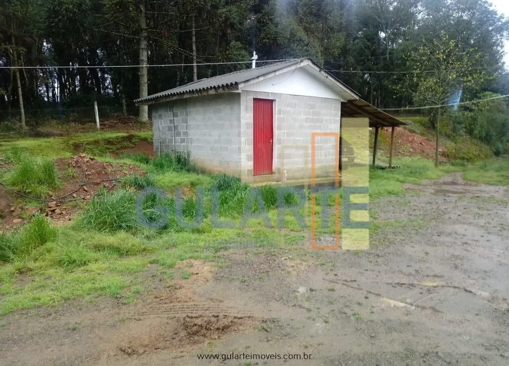 Fazenda, 13 hectares - Foto 7