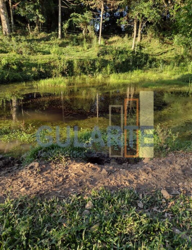 Fazenda, 13 hectares - Foto 7