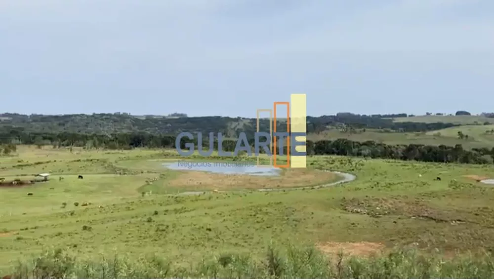 Fazenda, 717 hectares - Foto 6