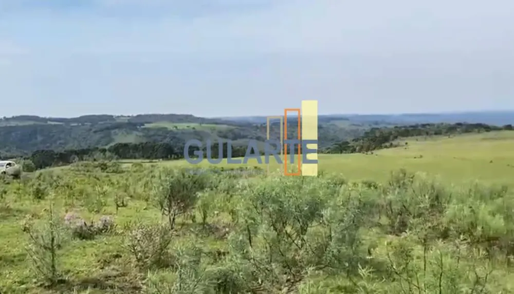 Fazenda, 717 hectares - Foto 16