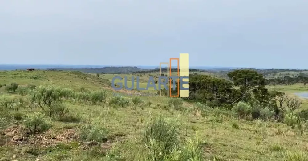 Fazenda, 717 hectares - Foto 2