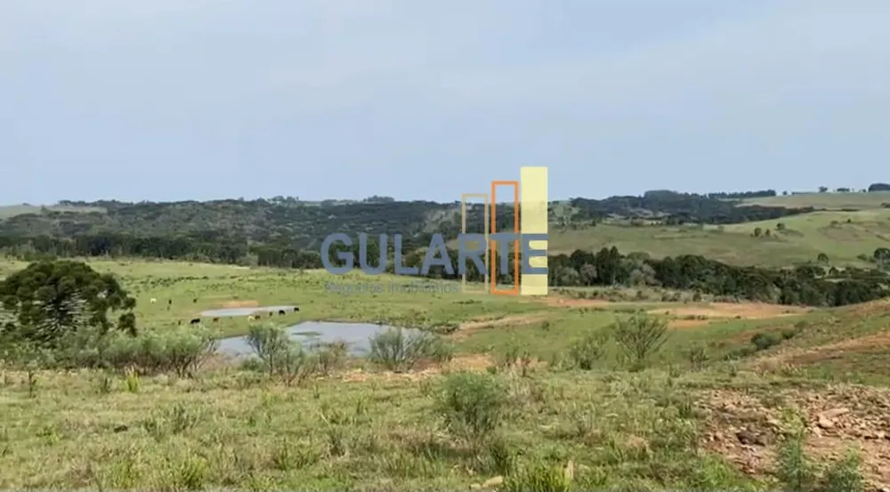 Fazenda, 717 hectares - Foto 1