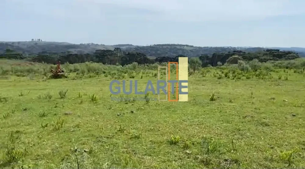 Fazenda, 717 hectares - Foto 7