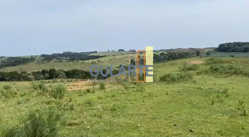 Fazenda, 717 hectares - Foto 6