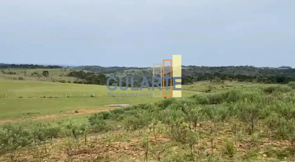 Fazenda, 717 hectares - Foto 10