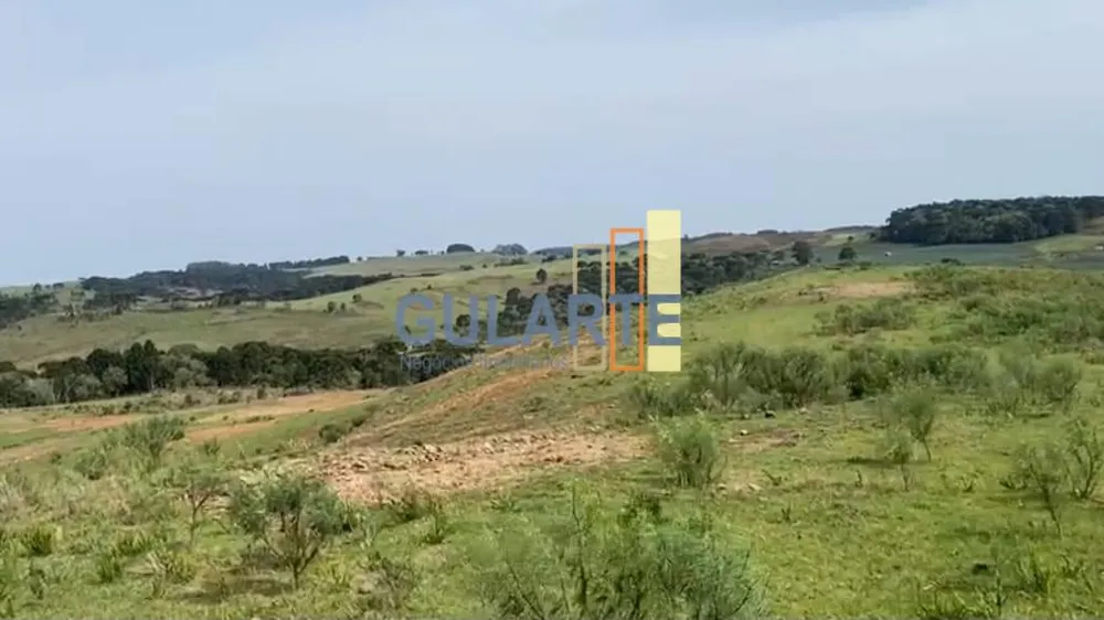 Fazenda, 717 hectares - Foto 3