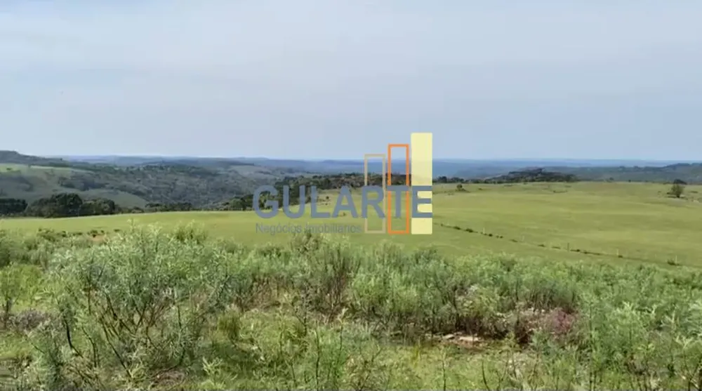 Fazenda, 717 hectares - Foto 15