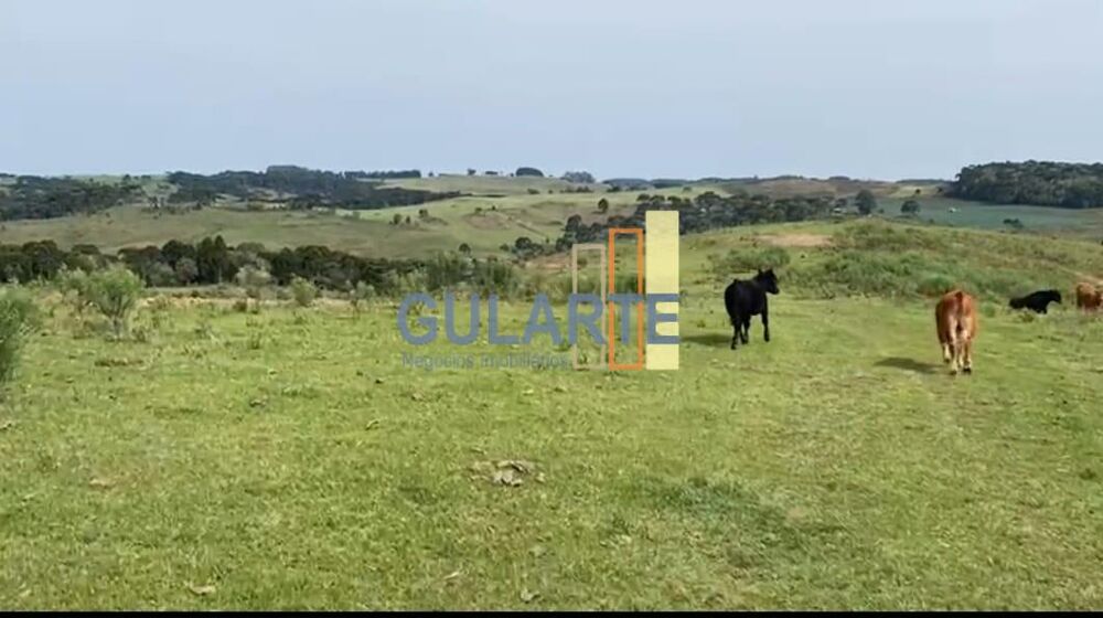 Fazenda à venda, 7170000m² - Foto 1