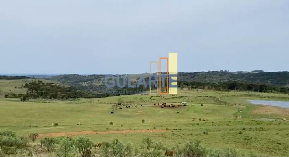 Fazenda à venda, 7170000m² - Foto 4