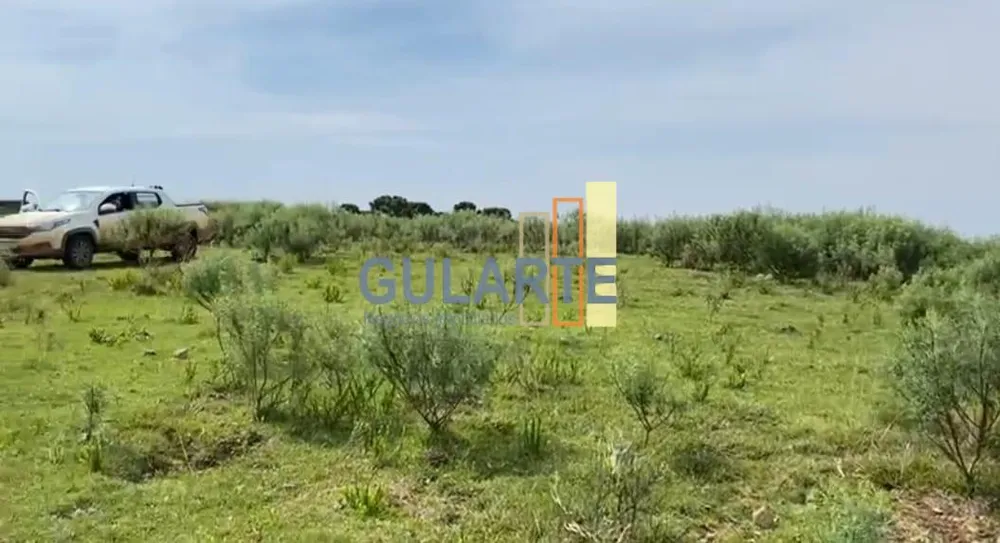 Fazenda, 717 hectares - Foto 2