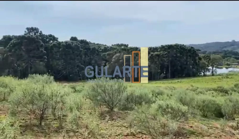 Fazenda, 717 hectares - Foto 4