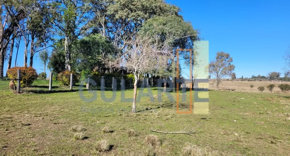 Fazenda, 24 hectares - Foto 7