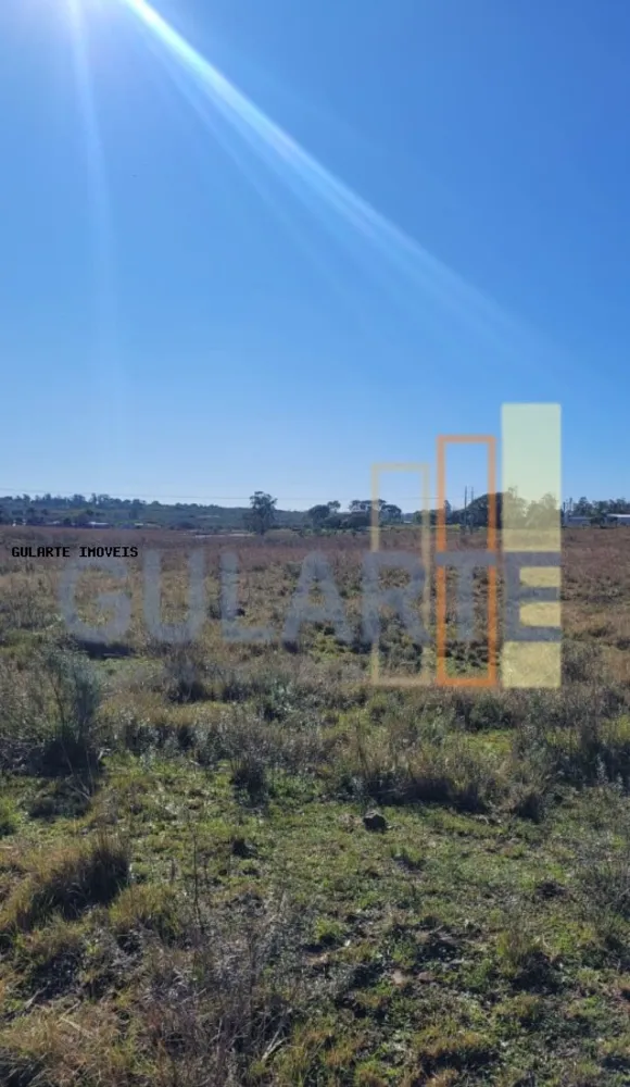 Fazenda, 24 hectares - Foto 8