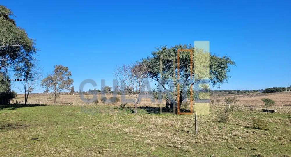 Fazenda, 24 hectares - Foto 6