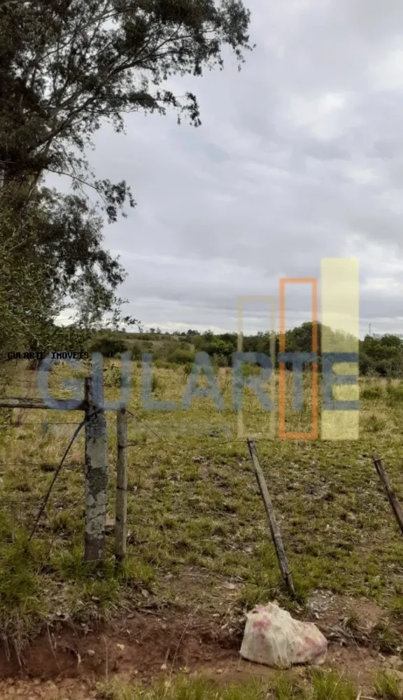 Fazenda, 24 hectares - Foto 1