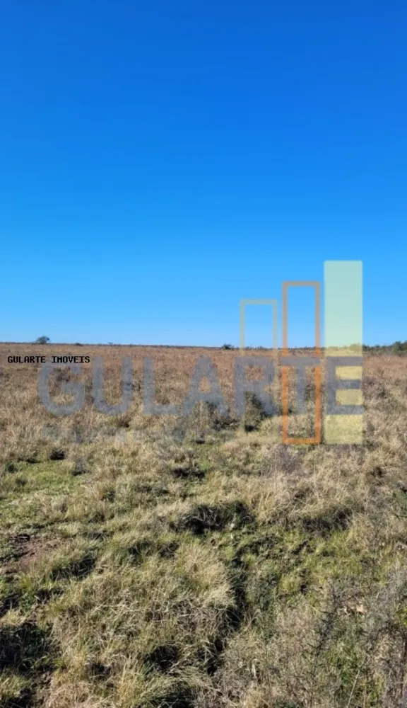 Fazenda, 24 hectares - Foto 4