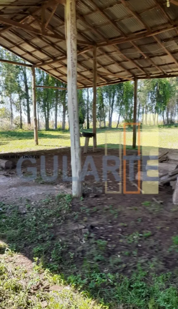 Fazenda, 24 hectares - Foto 2