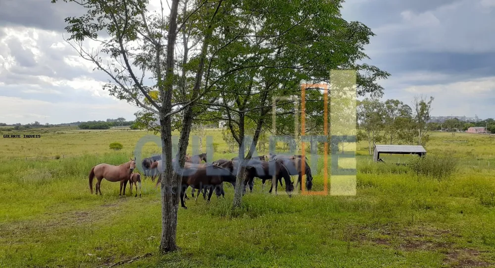 Fazenda, 24 hectares - Foto 3