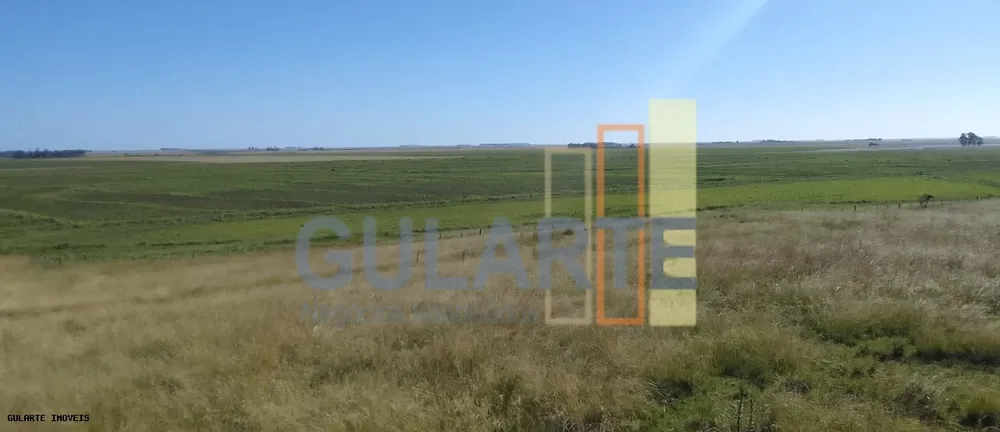 Fazenda, 169 hectares - Foto 1