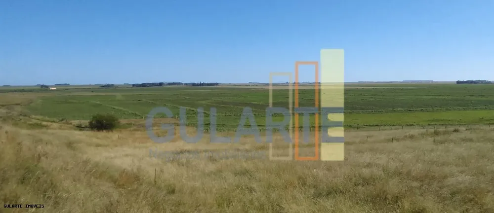 Fazenda, 169 hectares - Foto 2