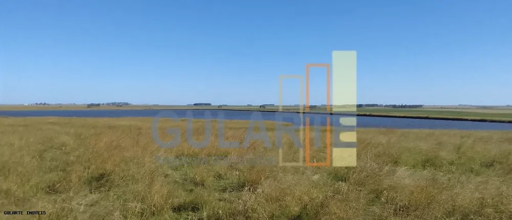 Fazenda, 169 hectares - Foto 4