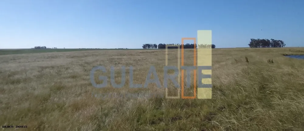 Fazenda, 169 hectares - Foto 3
