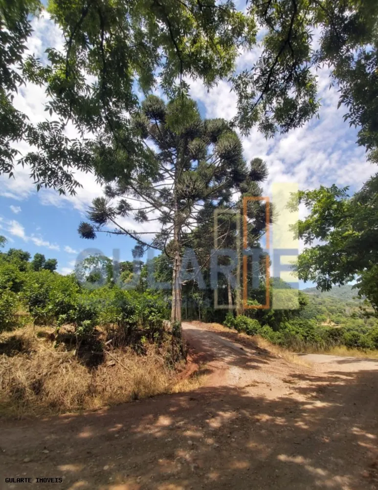 Terreno, 15 hectares - Foto 3