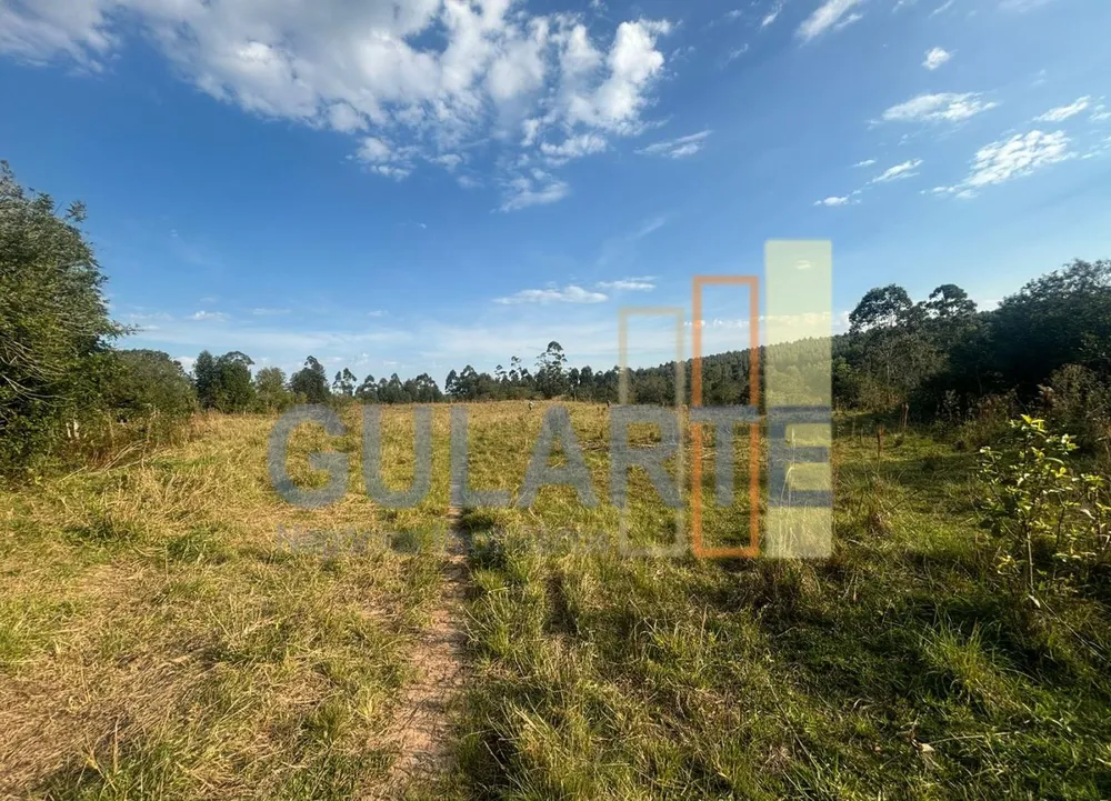 Fazenda, 903 hectares - Foto 1