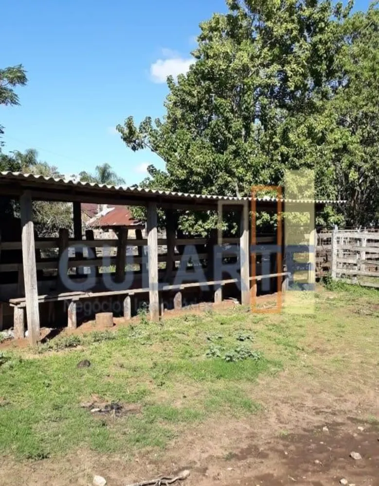 Fazenda, 903 hectares - Foto 3