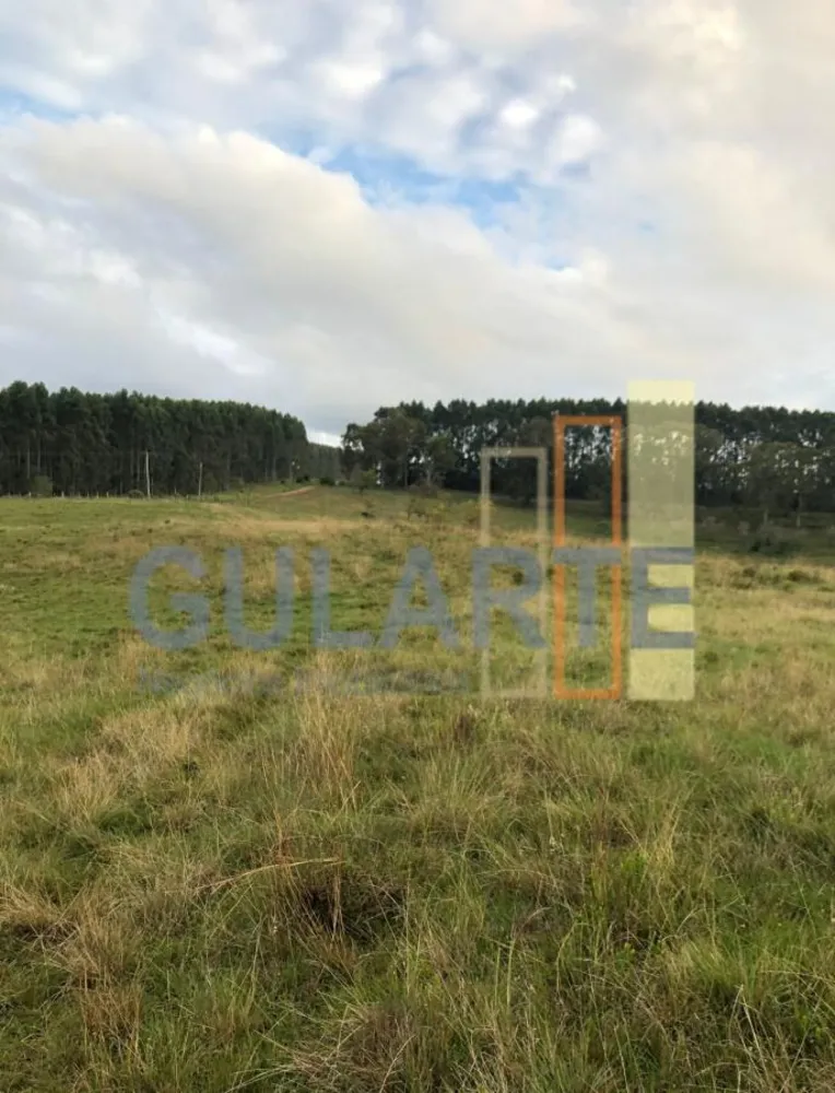 Fazenda, 903 hectares - Foto 6