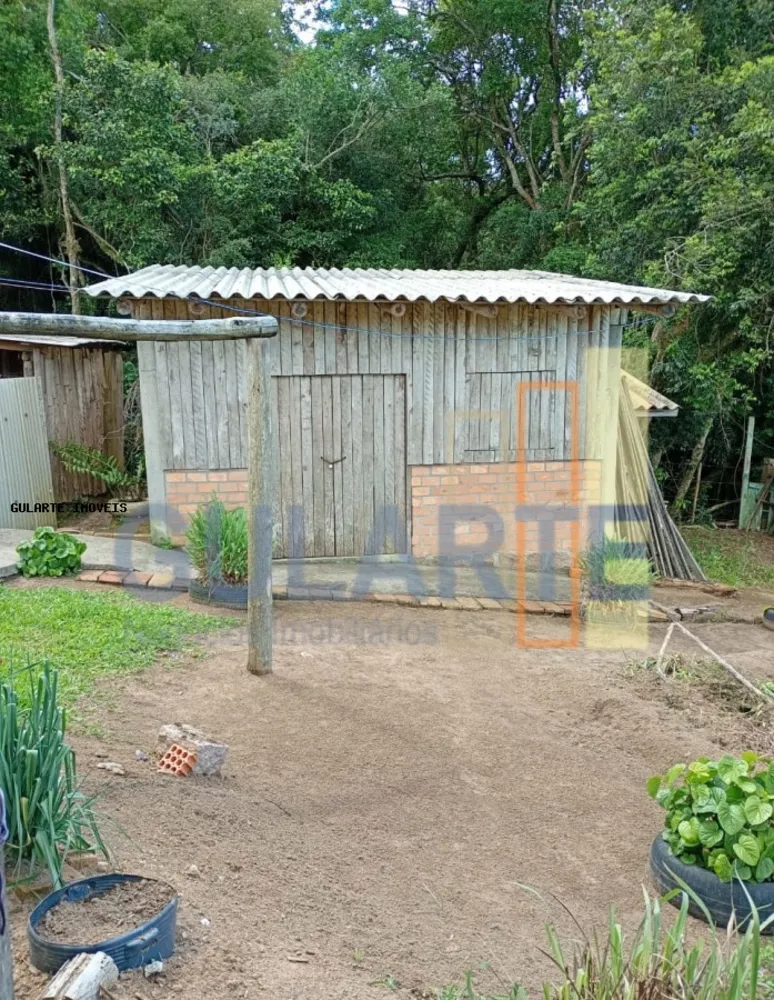 Sítio, 3 quartos, 3 hectares - Foto 7
