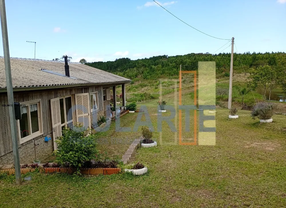 Sítio, 3 quartos, 3 hectares - Foto 4